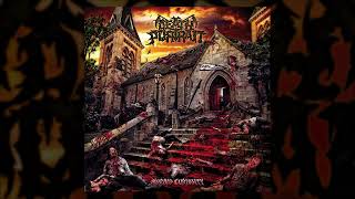 Melodic Technical Death Metal 2023 Full Album "DEATH PORTRAIT" - Morbid Curiosity