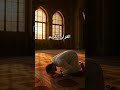 Quran with Urdu Translation #islam #quranictranslation #quraninurdu #islamforeever #dailyshorts