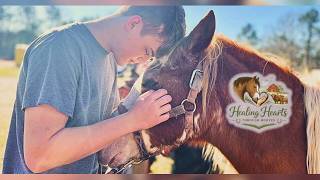 Healing Hearts Through Hooves Uses Horses To Help Veterans, First Responders Heal