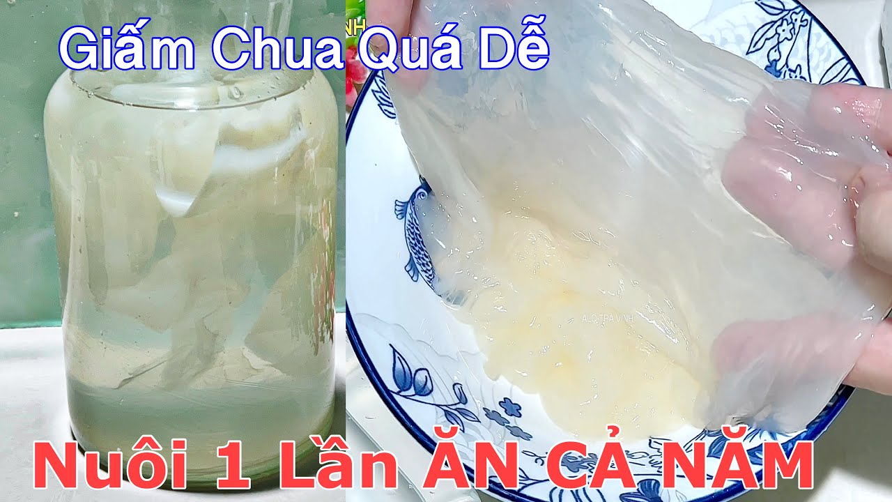 Tự Nuôi Giấm Theo Cách Xưa Giấm Ăn Quanh Năm Không Tốn Đồng Nào- ALO TRÀ VINH