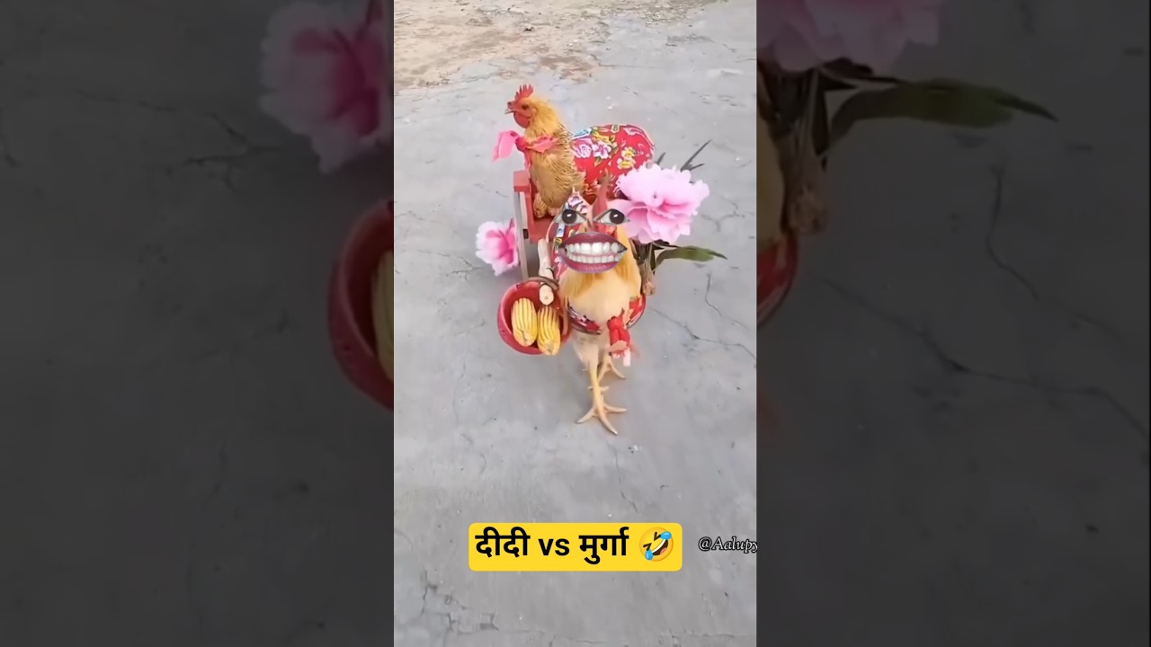 दीदी vs मुर्गा |🤣😂 Thethar puns comedy | 