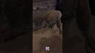 When Dinosaurs Ruled The Earth