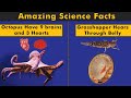 Most Amazing Science Facts You Didn't Know Before! (Urdu/Hindi)
