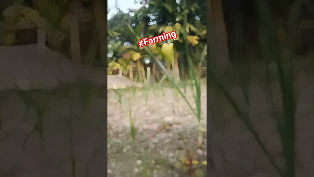 #farming