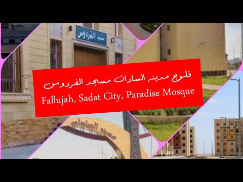 فلوج مدينه السادات مسجد الفردوس المنطقه التاسعه المنطقه الثامنه بيشوي سامي