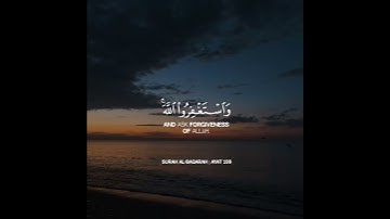 واستغفروا الله القارئ شريف مصطفى 🥺💟