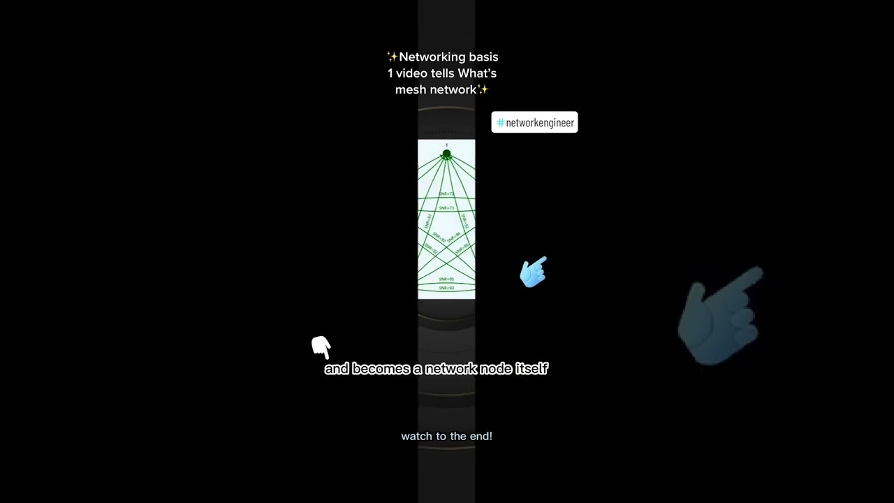 Networking basis you won't miss out 