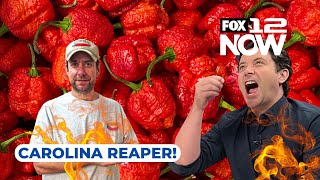 LIVE: How hot is the Carolina Reaper? Smokin' Ed Currie talks PDX Hot Sauce Expo