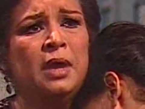 تتر البدايه مسلسل ابو العلا البشرى