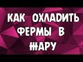 Как охладить фермы в жару летом. Бюджетный вариант с +47 до +29