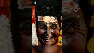 দন তনবর নজ নজই বদল যয মযর মখ