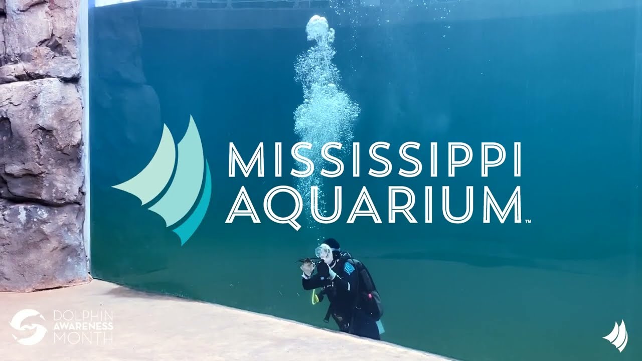 Dolphin Habitat Maintenance