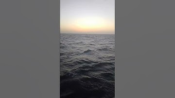 ما تيسر من سورة الحج #اكسبلور #fishing #
