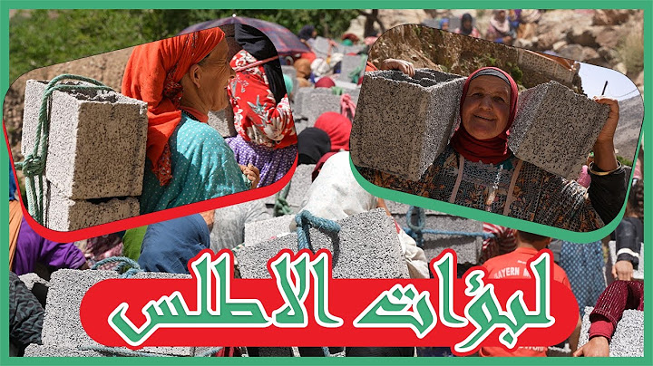 لبوؤات الأطلس يحملن الياجور على ظهورهن ومحسن يتصدق بعشرين مليون سنتيم