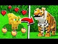 How to UNLOCK RARE MOBS in Minecraft Tutorial! (Pocket Edition, Xbox, PC, Switch)