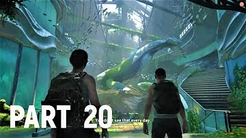 The Last of Us 2 Walkthrough Gameplay Part 20 (No Commentary) TLOU2