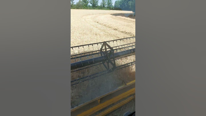moissons de blé 2k25 top départ #moimoisso#agriculture#New            Holland