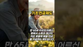 노인기초연금제도 - 요양보호사자격증 시험 이론 및 기출문제