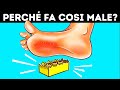 50+ Fatti Inutili che Dovresti Conoscere lo Stesso