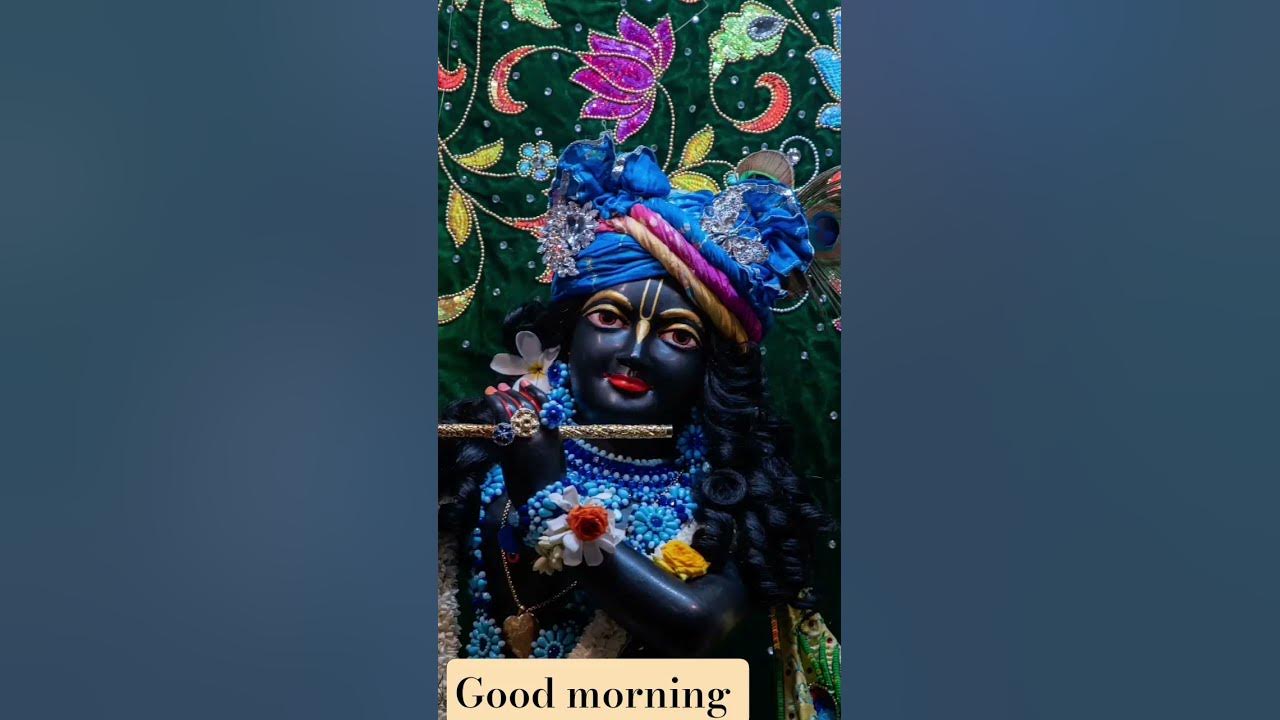 Radha Radha 🌼❤️ Believe in karma🌼🙏🏻#harekrishna#reels #virul#videoreels#newrel#follower#reelsnew🌼🌷🌿💐