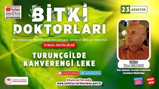Bitki Doktorları 72 - Turunçgilde Kahverengi Leke Alternaria Alternata F.sp. Citri Ve Mücadelesi