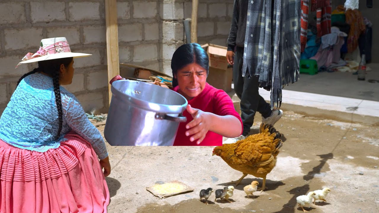 mi hijo me voto de mi propia casa