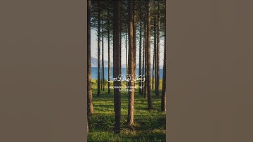 سورة النمل الآية ( 61 )                           Surah An-Naml, verse (61)