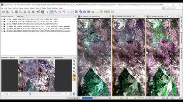 Tutorial 6:  NDVI and Timeseries