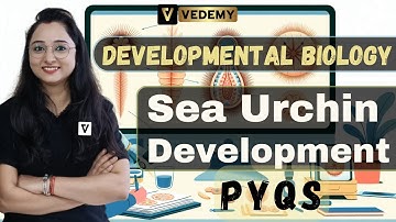 Sea Urchin Development PYQs | Developmental Biology | Jyoti Kumari | CSIR | DBT | ICMR | GATE |