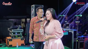 RINDUNYA HATIKU - SELLY PRAWOTO FT MARLIN - CAMELIA - KHITAN ZILDAN OKTAVIAN PRATAMA - BANDENGAN