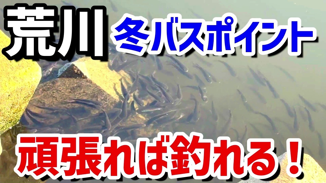 【バス釣り】荒川冬バスポイント、頑張れば釣れる！
