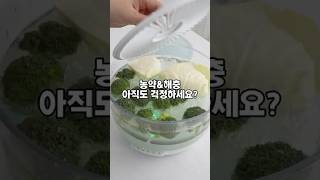 [공구예고] 과일, 야채 농약&amp;해충 오직 물로만 99% 제거하는 버블 무선 세척기