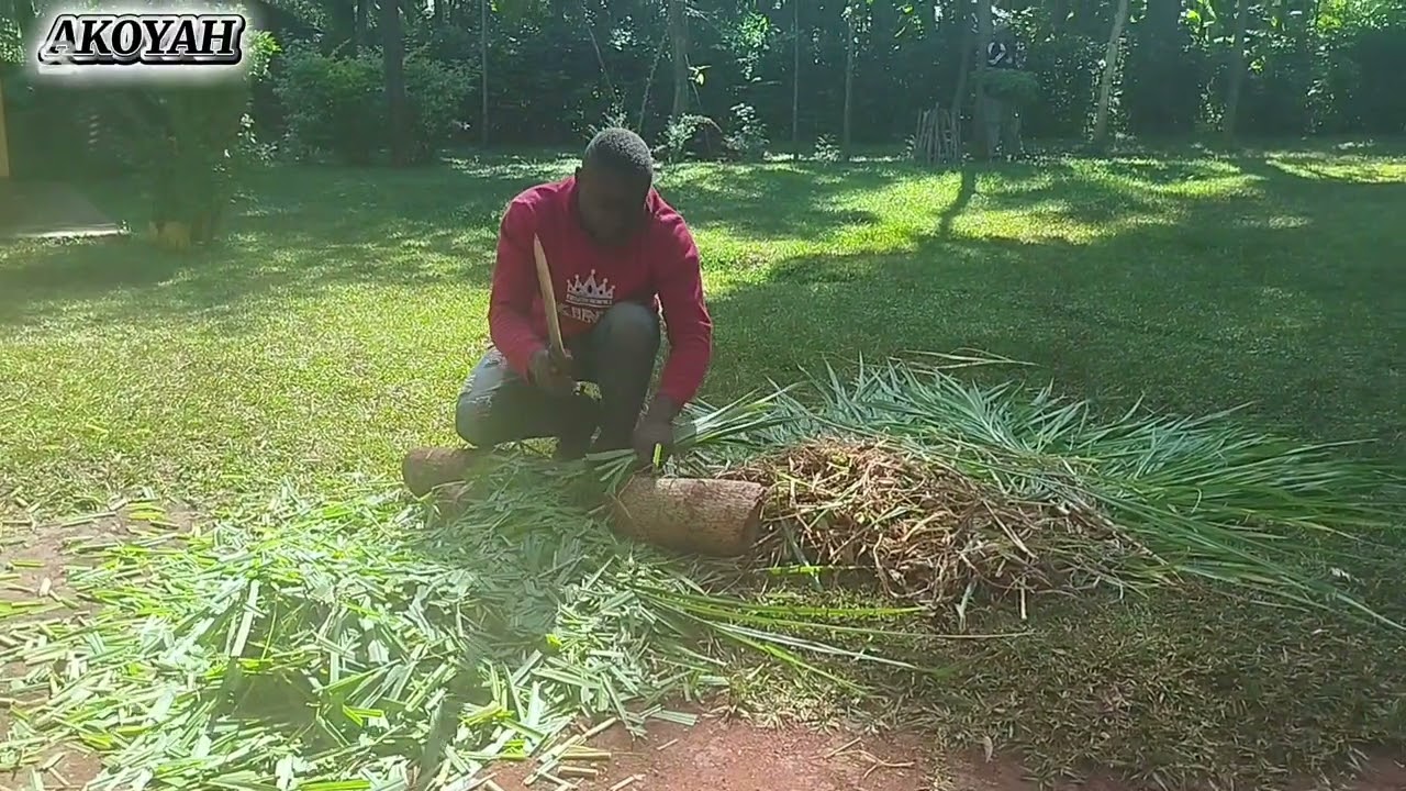 Как вручную приготовить силос для коров / подстилочную траву / корма для животных 