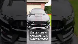 Raindrops on Shelby GT350!