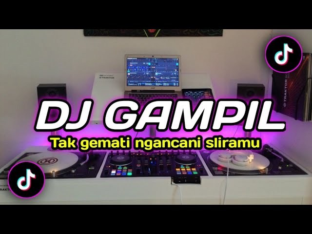 DJ GAMPIL GUYON WATON class=