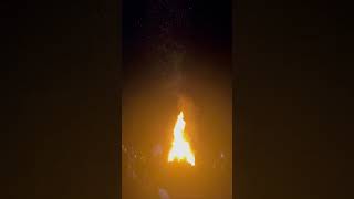 Holika dehan in America #holishortsvideo #holikadahan