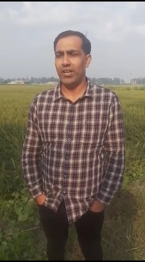 हरियाणा के कैथल के किसान कमल कुमार  बता रहे हैं कैसे मिलेगी गेंहू की बंपर फसल | वनइंडिया हिंदी