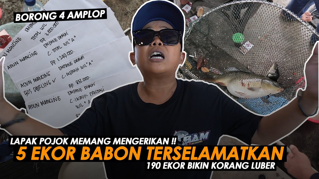 A2 DUL & DUN BORONG SEMUA AMPLOP ⁉️ IKAN INDUK & IKAN RAME TERPESONA SAMA UMPAN VIRAL 2022 || Am