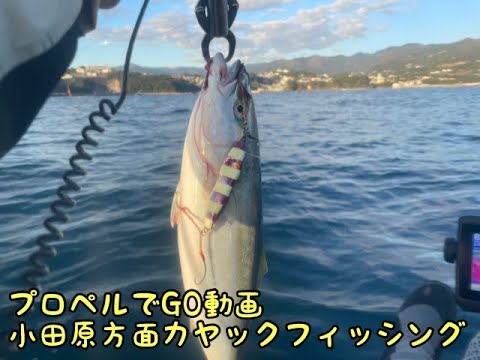 小田原方面カヤックフィッシング Youtube 小田原方面カヤックフィッシング Youtube
