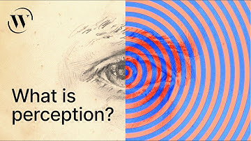 Perception, explained in 3 minutes  | Alva Noë