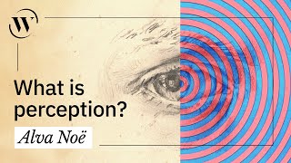 Perception, explained in 3 minutes | Alva Noë