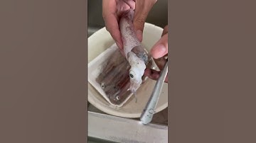 Hướng dẫn cách lấy túi mực đơn giản