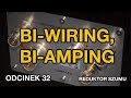 Bi-wiring, bi-amping - odc.32 [Reduktor Szumu]