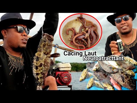 Rupanya ini Umpan paling jitu😱 Bule sampai bingung melihat Bocil sekali tarik ikan 2 ekor