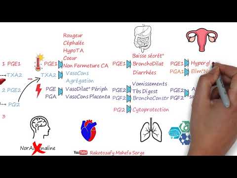 Vidéo: Prostaglandines: Ce Qu'elles Sont Et Leur Rôle Dans Le Corps