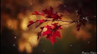 Sad Violin Music - Relaxing music - Beautiful Sad Music - Soothing Music