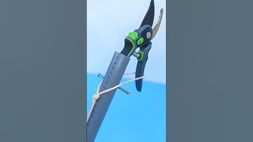 Simple tool for cutting tree branches #simpletools #cuttingtree #branches #shorts