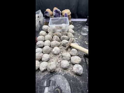 Live treasure opening
