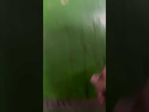 이집트 엘레베이터 Egypt Elevator 