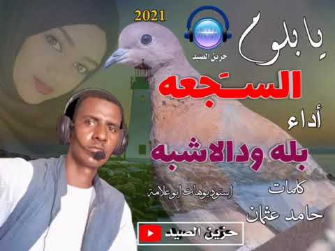 بله ودالاشبة حزين الصيد